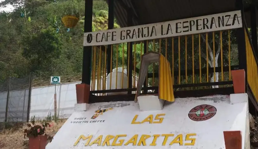 Full Analysis of Colombian Hope Estate Geisha: Sun-Dried Processing & High-Altitude Flavor Secrets