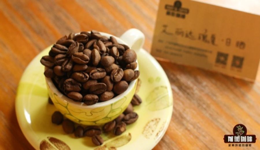 Traditional Coffee Variety at the Foot of Barú Volcano: Finca Santa Teresa Scores 92.38 and Wins 3rd Place in BOP