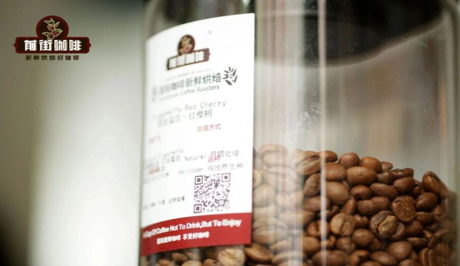 Analysis of the Difference Between Ethiopian Coffee Heirloom and Landrace | How to Distinguish Between Wild Varieties and Local Cultivars?