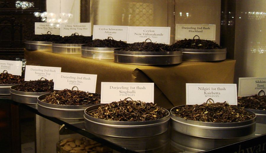 Analysis of Darjeeling’s Four Tea Seasons: Which is the Most Valuable? Spring, Summer, Autumn, or Monsoon? Flavors and Prices at a Glance
