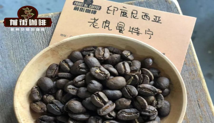 A Complete Guide to the Flavors and Pour Over Techniques of Indonesia’s Sumatra Tiger Mandheling G1