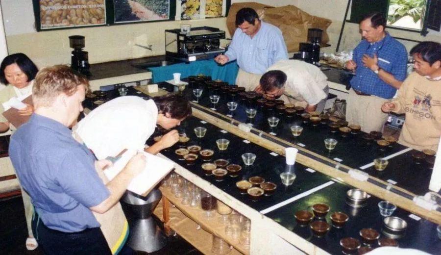 2023 Brazil Cup of Excellence Major System Overhaul: Group Judging Unveils Top Three Processing Method Award Winners