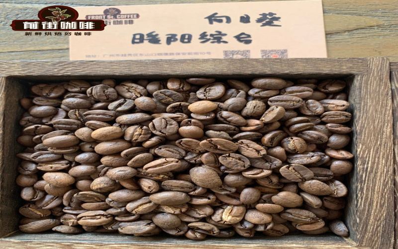 How to Store Dark Roast Pour Over Beans? A Complete Guide to Best-By Period, Degassing Stages & Optimal Brewing Parameters