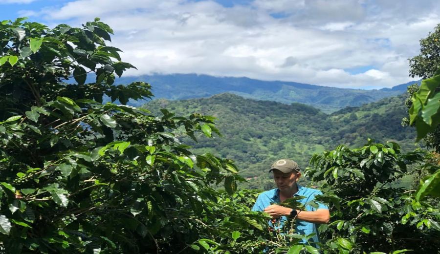 In-depth Analysis of Panama Duncan Estate Geisha White Honey Beans | Flavor & Sustainable Farming