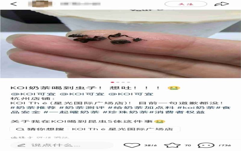 Insect Fragments Found in KOI Milk Tea in Hangzhou: A Comprehensive Analysis of the Legal Battle Between Consumer and Brand
