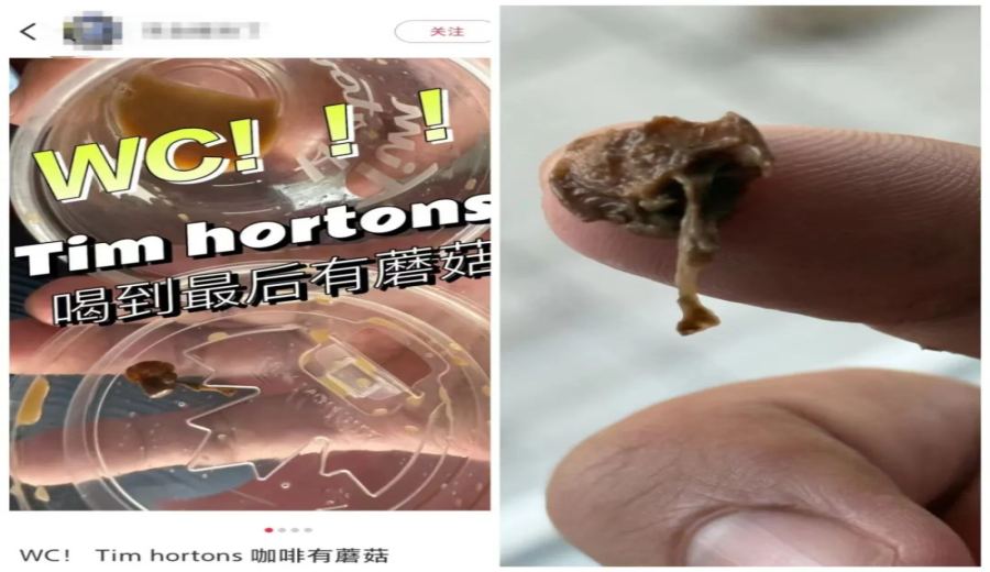 Mushroom residue found at the bottom of a Canadian Tims coffee cup; food safety scandal unfolds in series