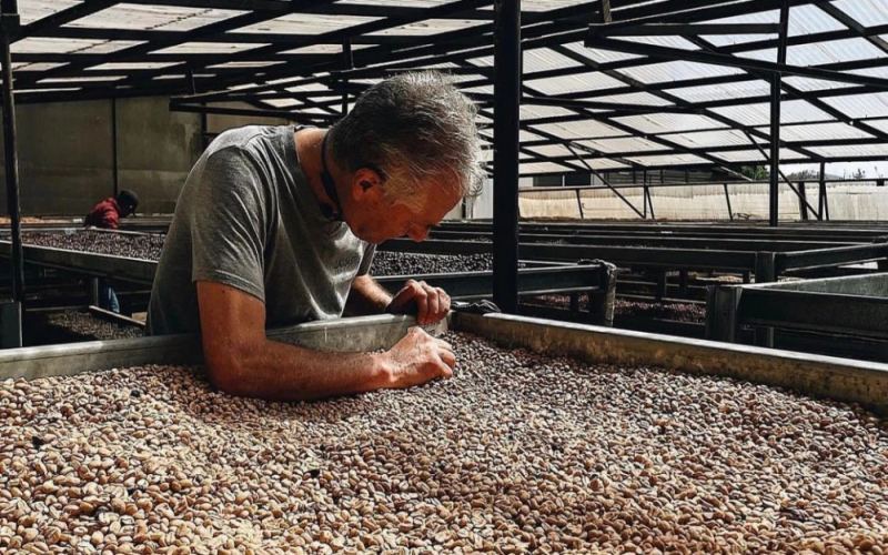 Unveiling the Flavors of Panama's Elida Geisha and Catuai: A Comprehensive Guide to Ultra-High Altitude Cultivation and Processing Techniques