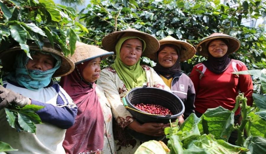 How to Choose Freshly Roasted Coffee Beans? Flavor Analysis and Brewing Suggestions for Light, Medium, and Dark Roasts