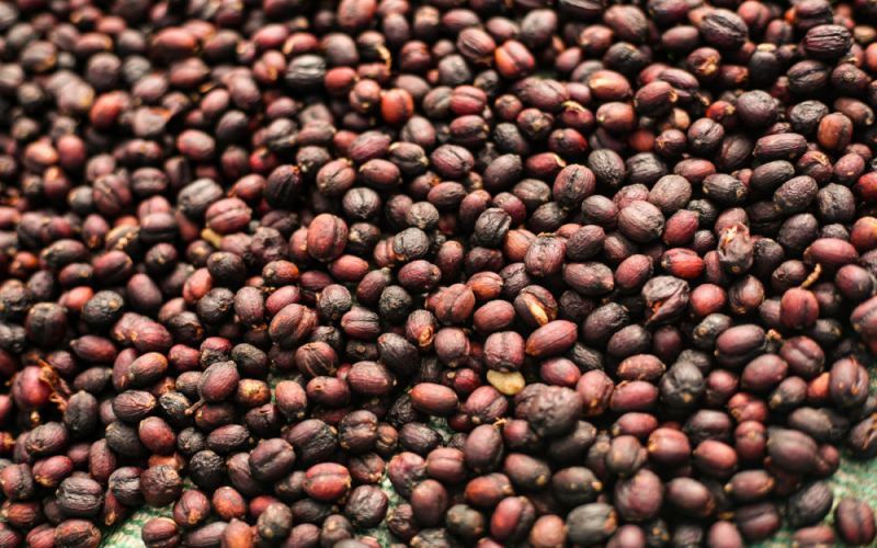 Complete Guide to the Yirgacheffe Coffee Region: Washed vs. Natural Flavor Profiles & Pour Over Techniques