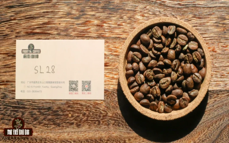 Analysis of the Kenyan SL28 Coffee Variety: Where Does Its Bright Acidity and Tomato-like Flavor Come From?
