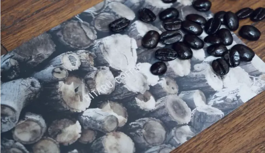 100-Year-Old Hokkaido Wooden-Smoked Coffee Beans: How Dark Roast and Wood Smoke Create a Unique Flavor