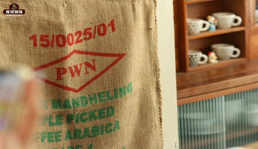 A Comprehensive Guide to Indonesian Mandheling Coffee: From Origin to Selection and Brewing of Golden Mandheling