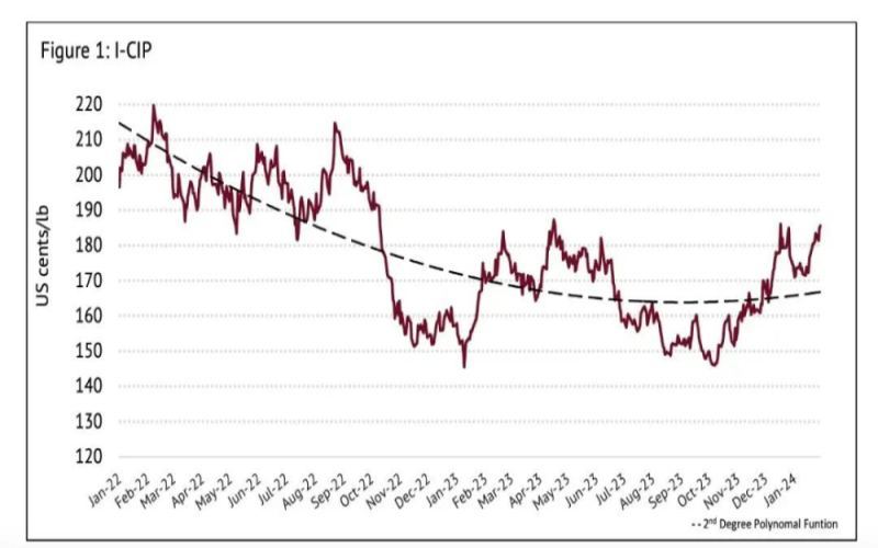 Analysis of the Soaring Robusta Coffee Prices: Supply Chain Crisis and Market Demand Shifts