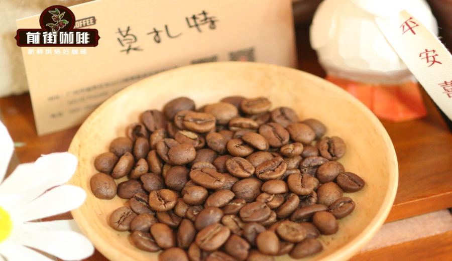Costa Rica Canet Estate Musician Series Coffee: Mozart & Bach – Flavors & Brewing Guide