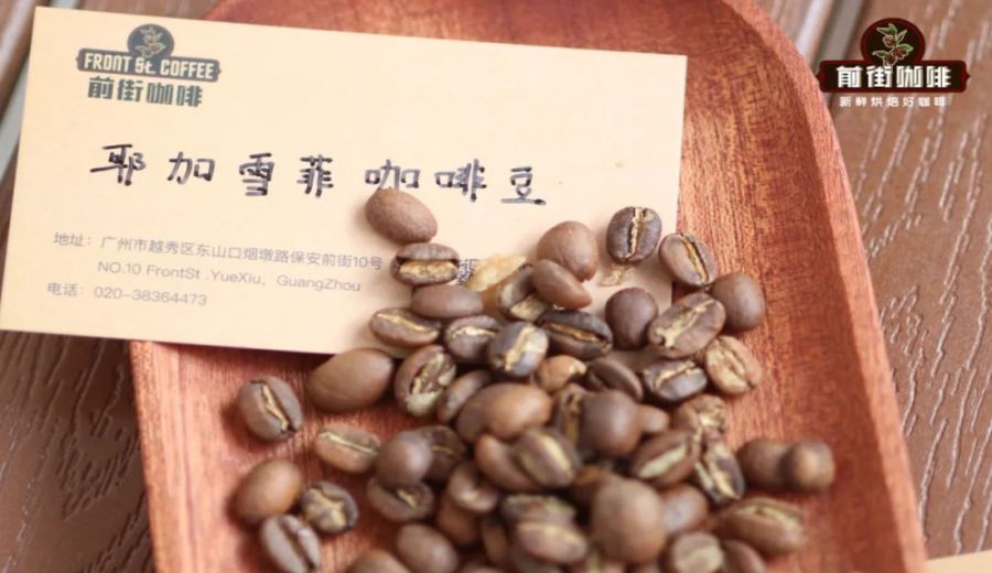 Recommended Washed Yirgacheffe Beans | Pour Over Parameters and Extraction Techniques to Restore Floral and Fruity Flavors