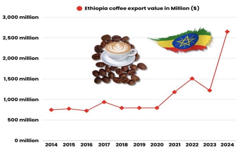 2024-2025 Ethiopia Coffee Export Highlights: A Comprehensive Look at Key Markets and Growing Regions