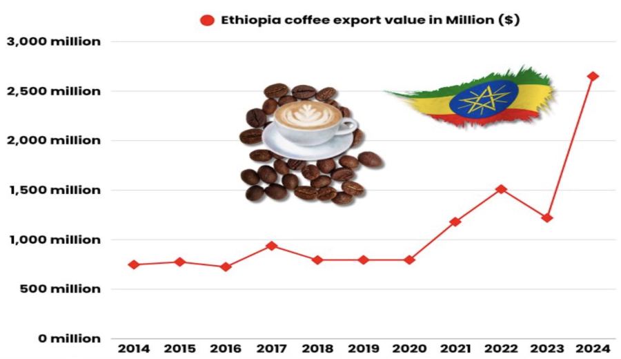 2024-2025 Ethiopia Coffee Export Highlights: A Comprehensive Look at Key Markets and Growing Regions
