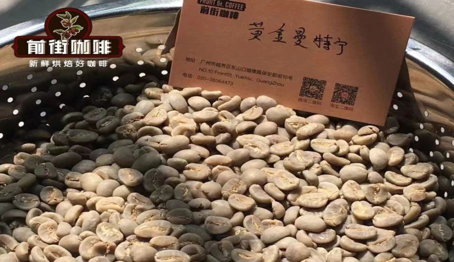 Best Coffee Beans for Beginners: 6 Medium-Roast Recommendations & Pour Over Brewing Tips