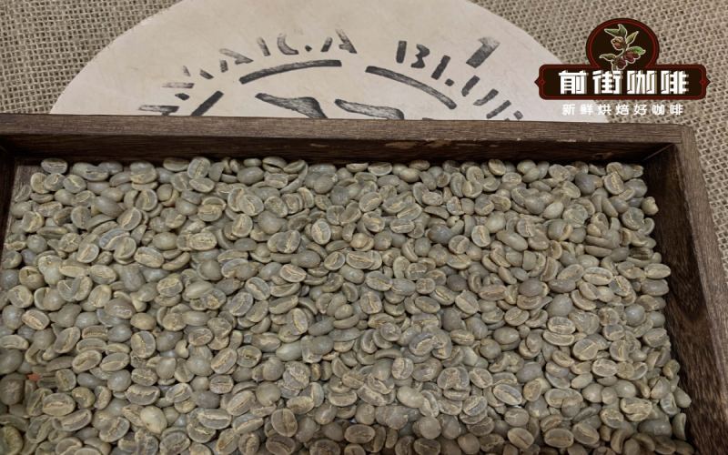 How to choose between Blue Mountain and Geisha coffee beans? A comprehensive look at grading, flavor, and regional differences