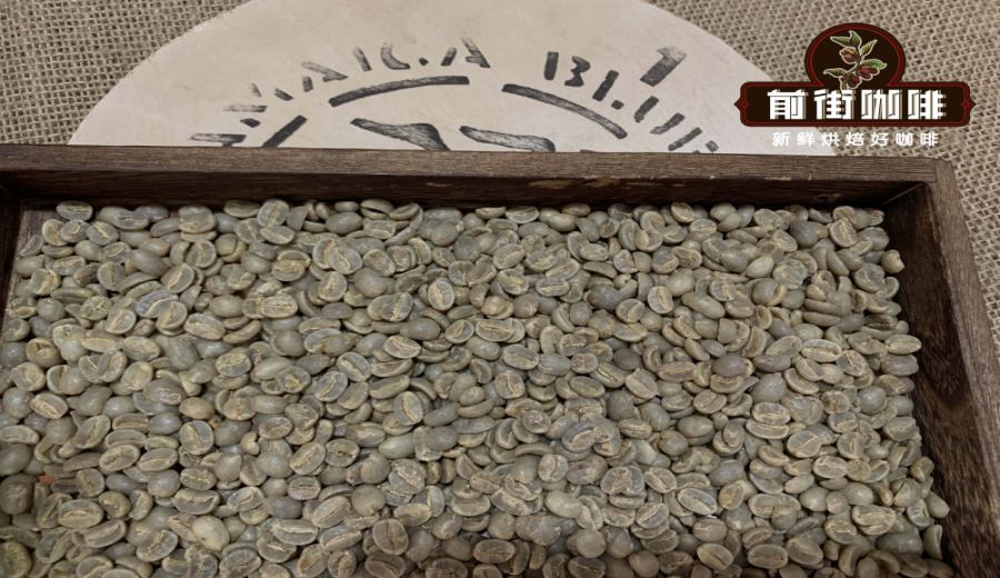 How to choose between Blue Mountain and Geisha coffee beans? A comprehensive look at grading, flavor, and regional differences
