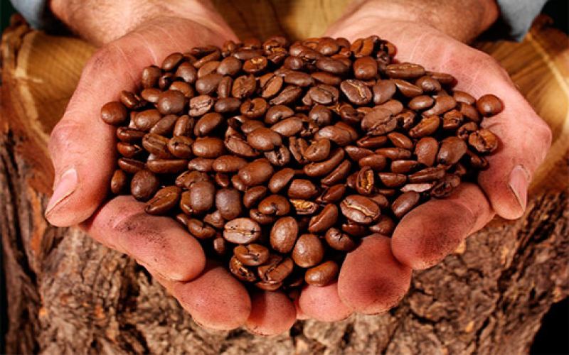 Guatemala Antigua Coffee Beans Tasting: A Comprehensive Guide to Volcanic Highland Flavors and Pour Over Parameters