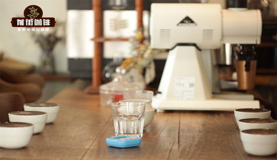 A Complete Guide to SCA and CoE Cupping Standards: From the Flavor Wheel to Downloading the 2023 High-Resolution Score Sheet