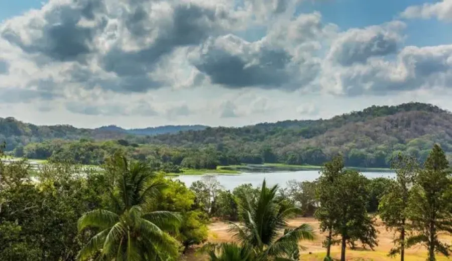 Panama 2050 Climate Forecast: Coffee-Growing Regions Face Drought and Warming Challenges