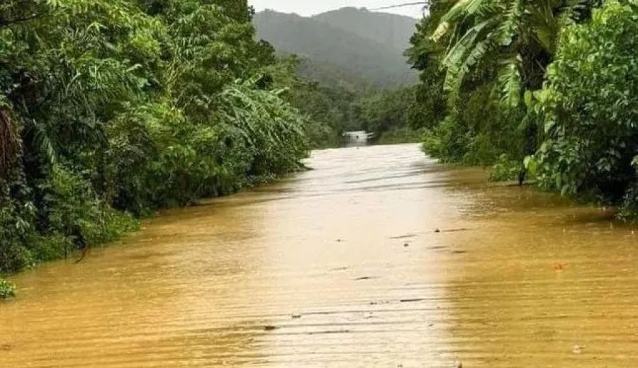 Frequent tropical storms in Vietnam clog ports, disrupting Robusta bean exports