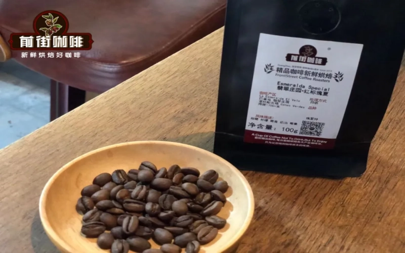 Behind the connection between coffee varieties and origins: How did Typica, Bourbon, and Geisha become classics?