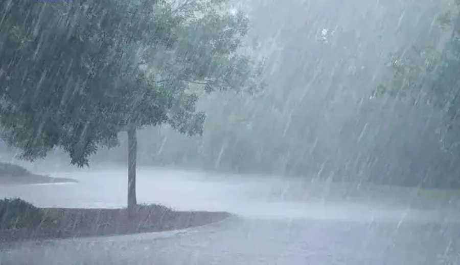 Tropical Storm Carlotta Ravages Mexico’s Coffee Regions, Threatening 50% Production Drop