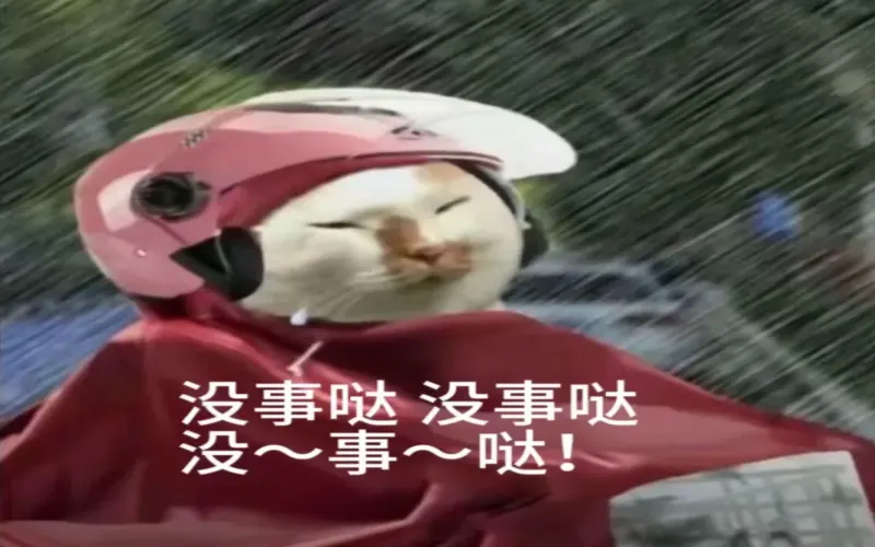 Shanghai residents still drink coffee during typhoon season — a first-hand look at cafes after Typhoon Bebinca