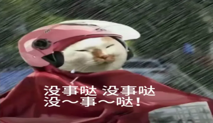 Shanghai residents still drink coffee during typhoon season — a first-hand look at cafes after Typhoon Bebinca