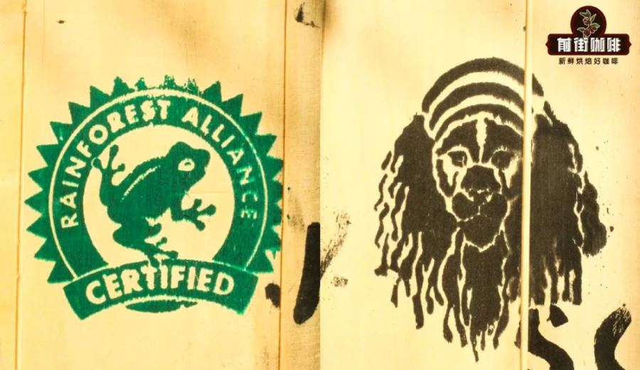 A Complete Guide to Jamaican Blue Mountain No.1 Coffee: Flavor Profile, Price Factors, and Authentic Identification