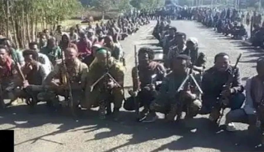 Ethiopia’s Amhara Region Conflict Continues: What Challenges Does It Pose to Coffee Exports?
