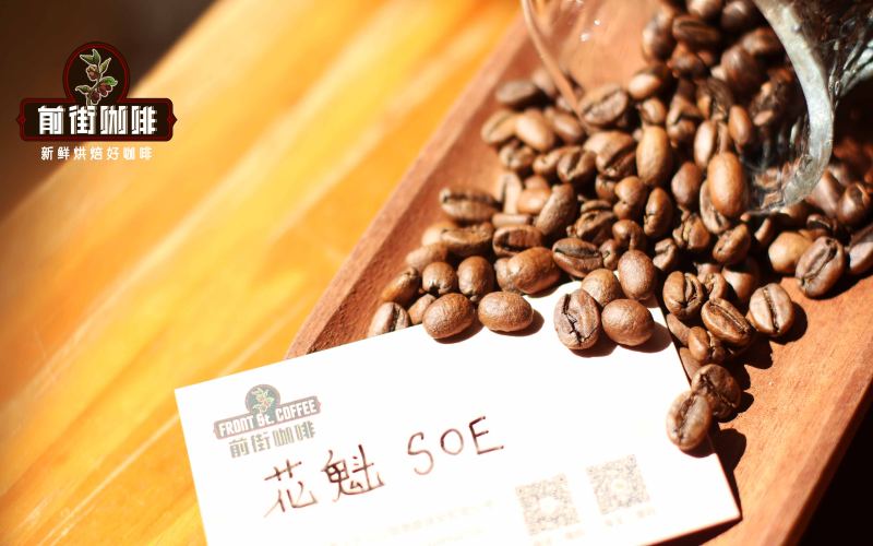 SOE Coffee Beginner's Guide: Bean Selection, Brewing Parameters, and Flavor Analysis — From Definition to Practice
