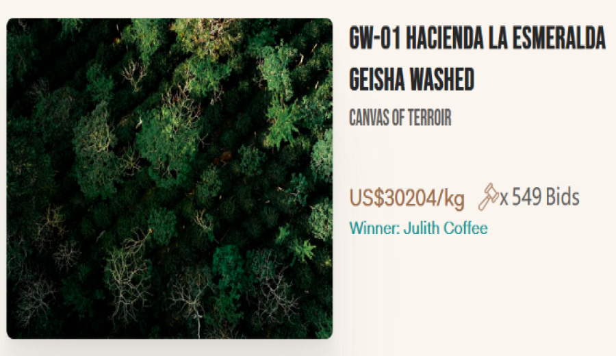 Panama BOP Geisha Auction Results Announced — JD.com Wins Top Lot with 3.4 Million RMB, Launches 9.9 RMB Tasting Offer