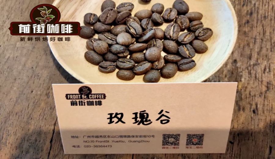 Complete Guide to Making Two Cups of Pour Over Coffee: Parameter Adjustments and Flavor Analysis