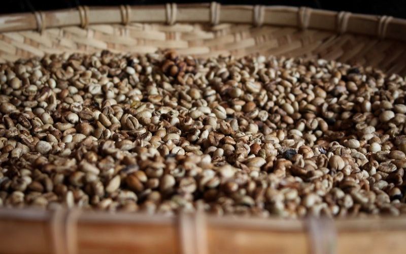 How many days after roasting is coffee best for brewing? A complete guide to degassing period and storage tips