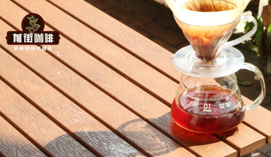 Cold Brew & Ice Drip Coffee Making Guide: Grind-to-Water Ratio, Extraction Techniques & Bean Pairing Explained