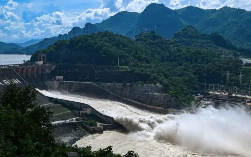 Vietnam’s coffee-growing regions hit by floods and droughts, Robusta prices set to rise through 2025