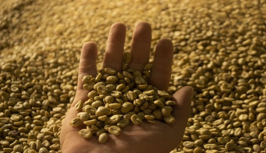 Recommended Coffee Beans Under $100 | Choose Daily Brew Beans by Roast Level, Suitable for Both Pour Over and Espresso