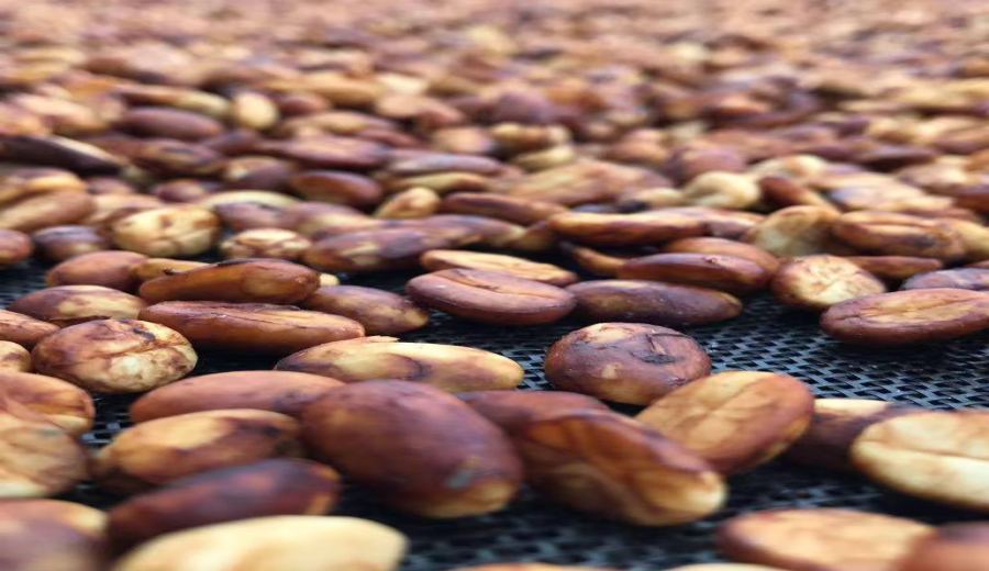 How to distinguish honey-processed coffee beans? From white honey to black honey: pulp retention and flavor analysis