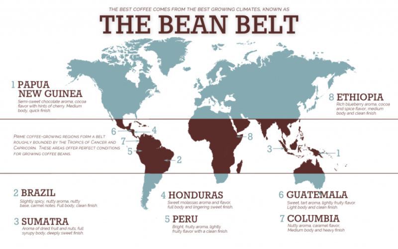 A Comprehensive Guide to Arabica Coffee Bean Varieties, Origins, and Flavors | Budget Bean Recommendations & Brewing References