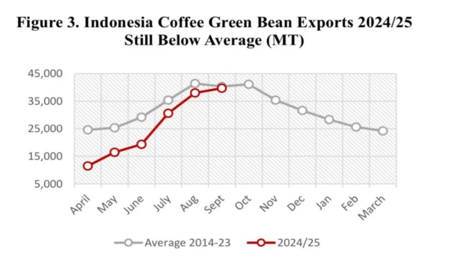 Indonesian coffee production increases by 2.4 million bags！A comprehensive analysis of 2024/25 export and domestic demand trends