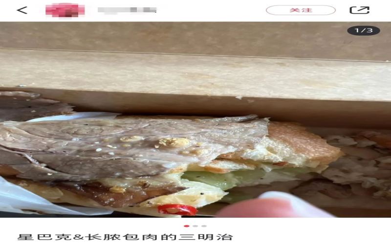 Foreign Object Found in Starbucks Beef Sandwich: Analysis of Yellow Bumps and Food Safety Precautions