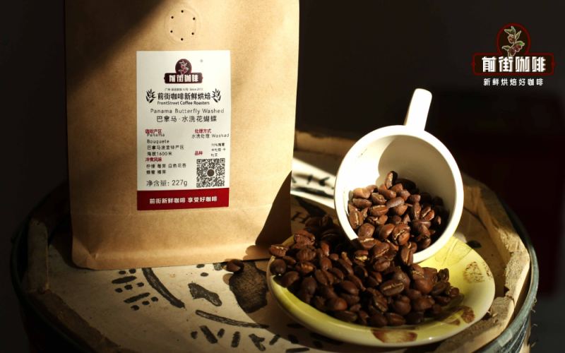 Complete Guide to Panama Geisha Hacienda La Esmeralda 