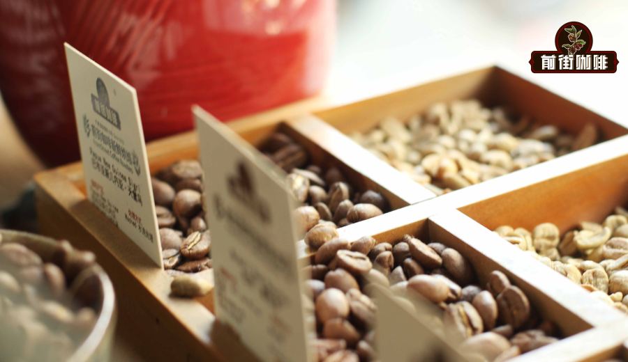 Papua New Guinea Bird of Paradise Typica Beans: A Comprehensive Guide to Washed Processing & Pour Over Brewing