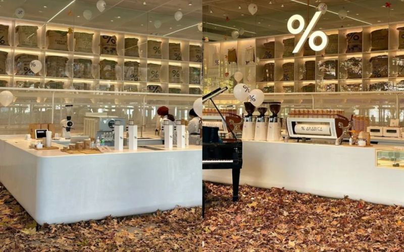 Hangzhou %Arabica’s autumn leaf installation sparks hygiene controversy ! 5 key considerations for creating café ambiance