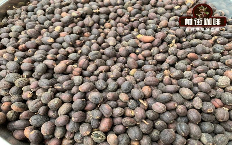 A Comprehensive Guide to Coffee Processing Methods: Flavor Differences and Characteristics of Natural, Honey, Washed, and Pulped Natural