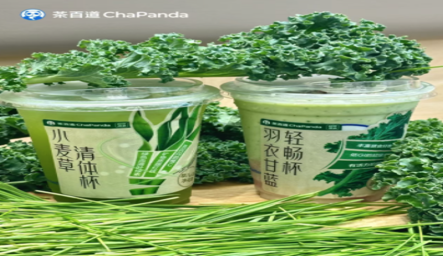 TeaPlus Launches Kale and Wheatgrass Plant-Based Teas: Analysis of Fresh Taste and Market Response